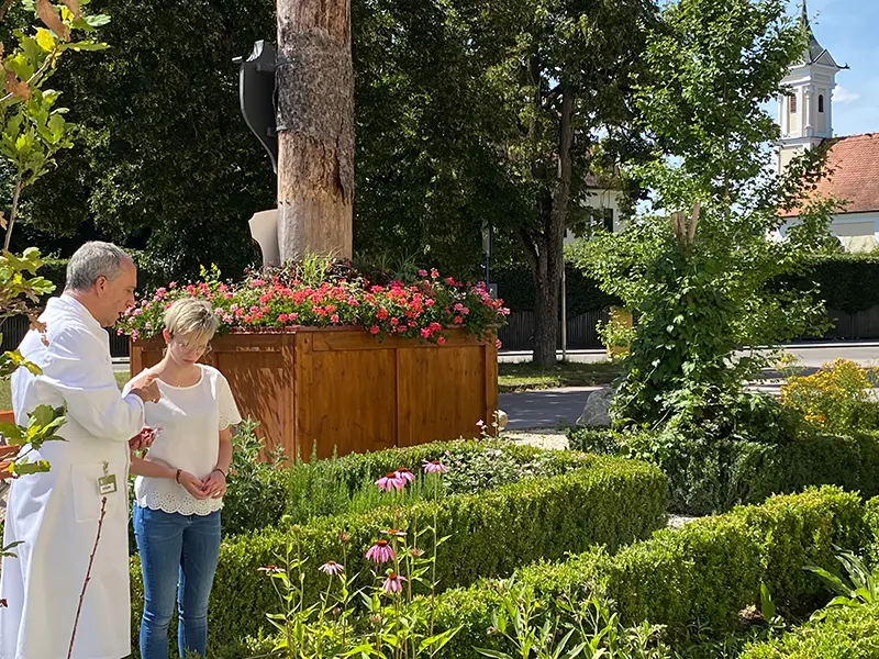 Führung Apothekergarten